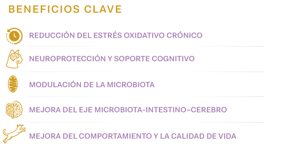 Beneficios clave