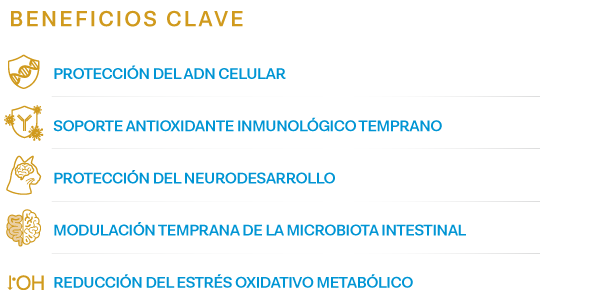 Beneficios clave