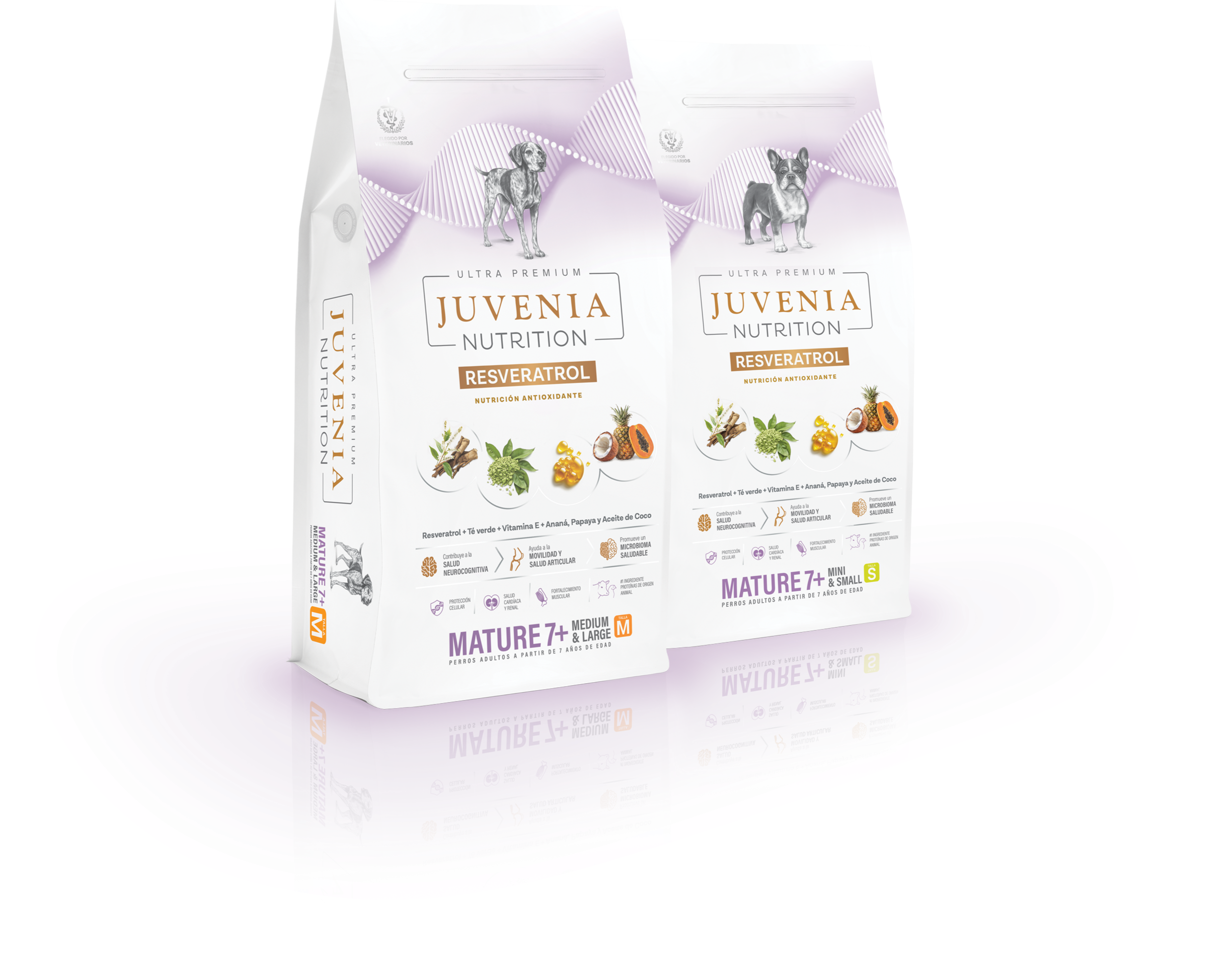 Packs Nutrique