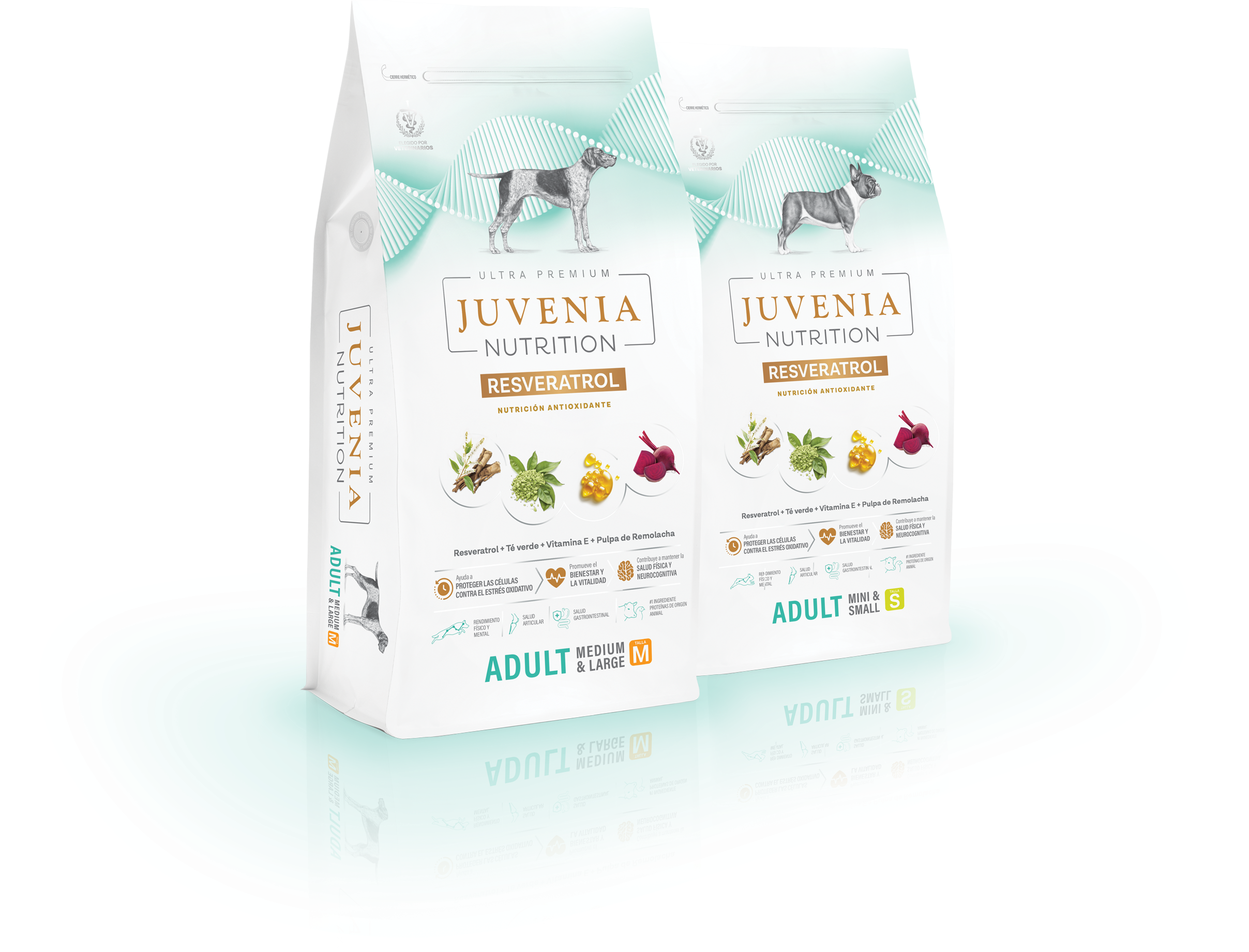 Packs Nutrique